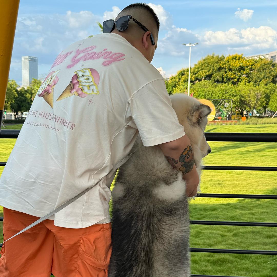 塌鼻子单眼皮Cc