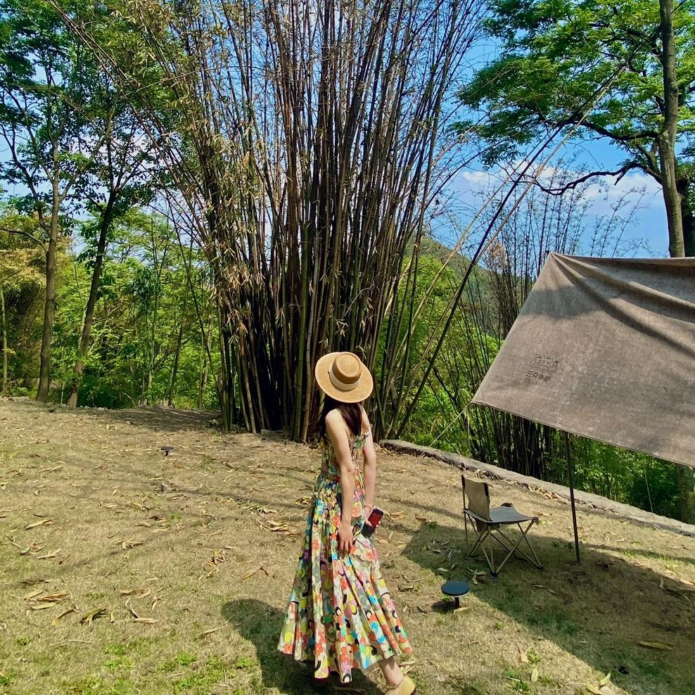 路过人间🍃（洛洛）