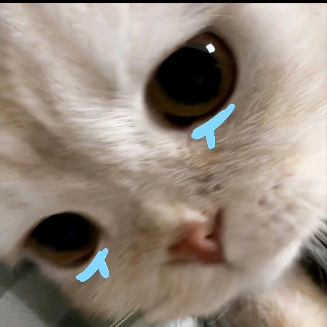 小文TuT