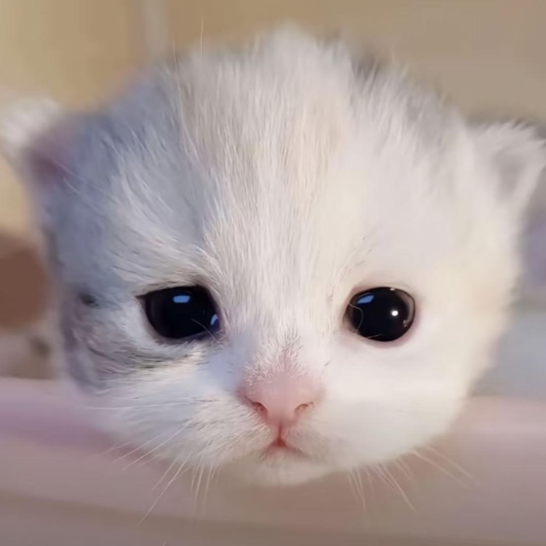 不开心怎么说话