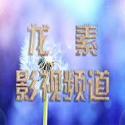 龙素先生