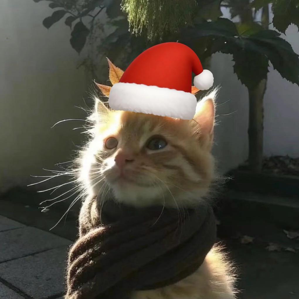 快快🐾