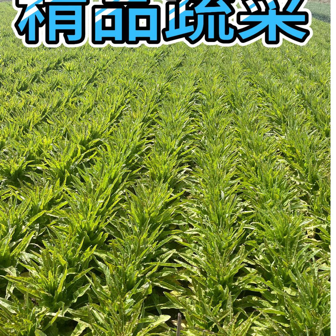 万家生鲜2店