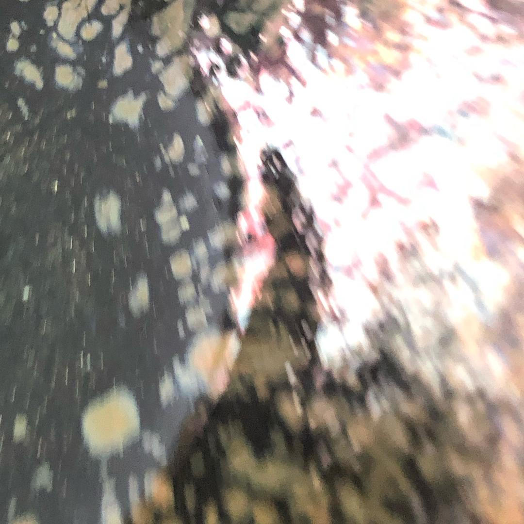 @阿凡提