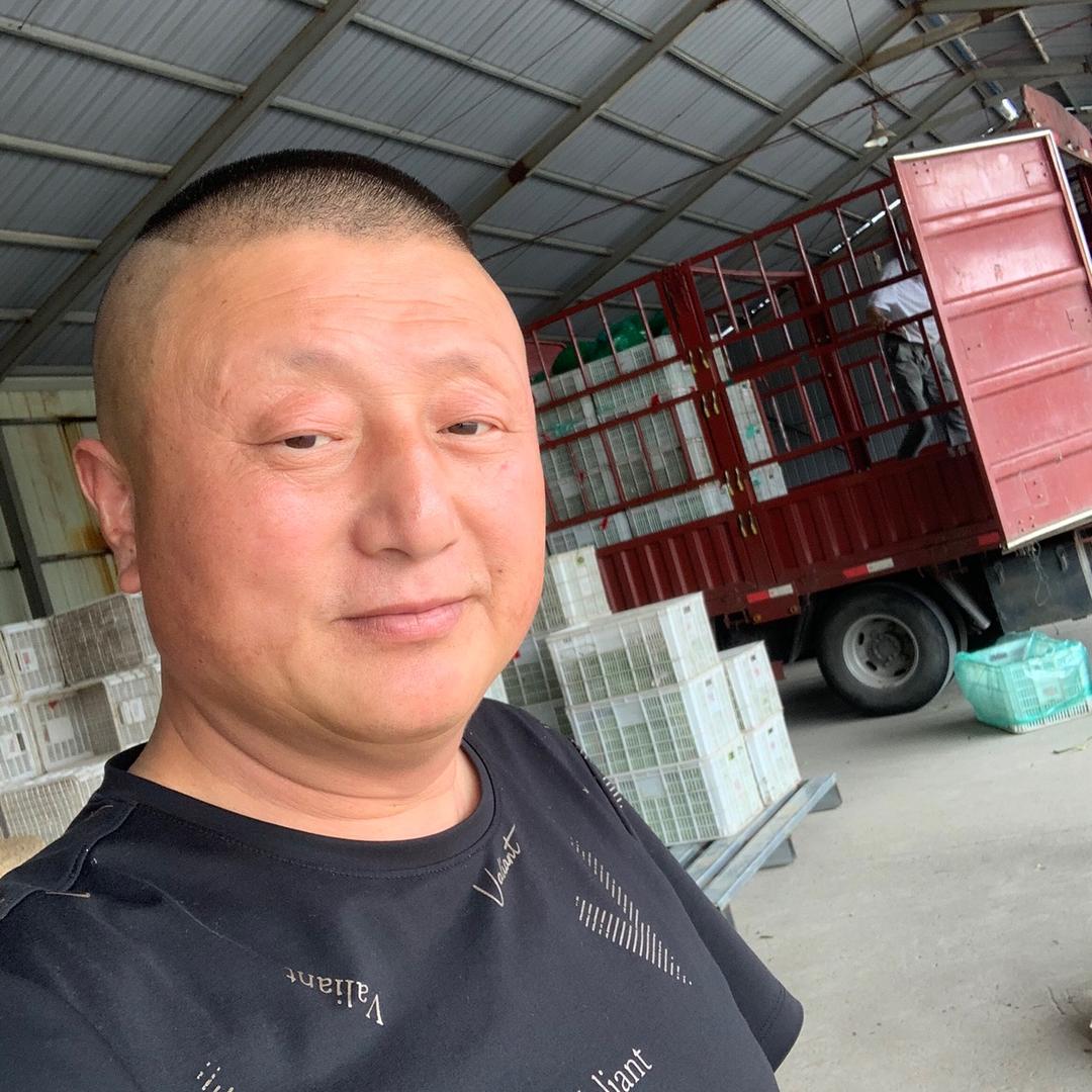 东台市鑫禾月瓜果蔬菜专业合作社