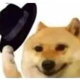 Gin
