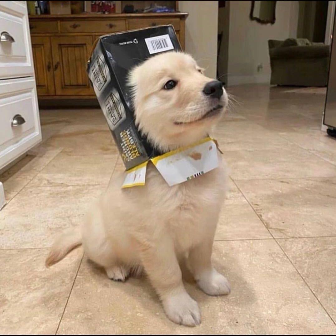 ks…（谁也没见过版）