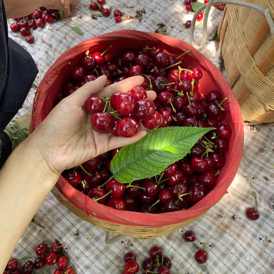 小杨（自家果园种植）