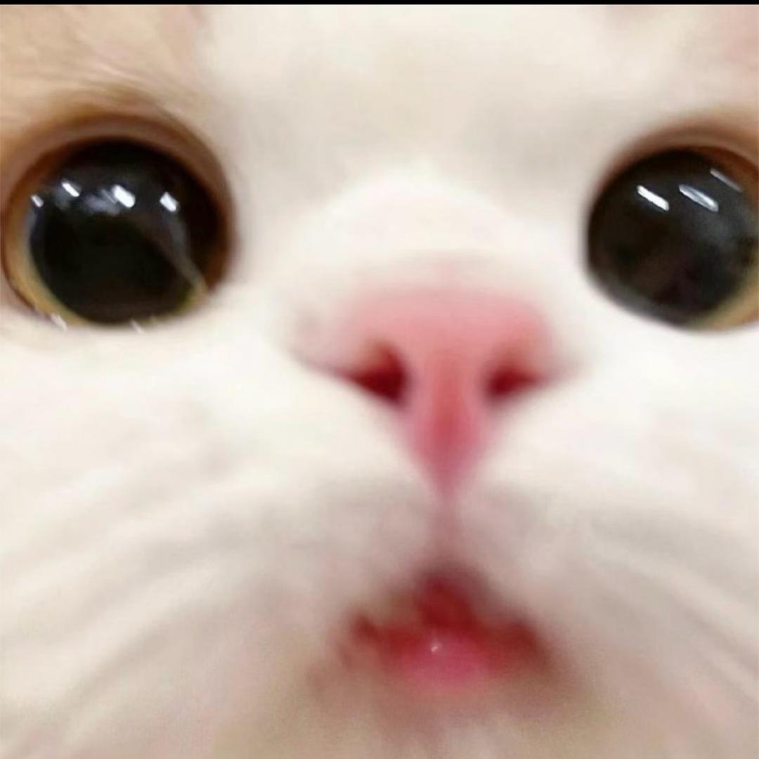 懒懒大王万岁万岁万万岁