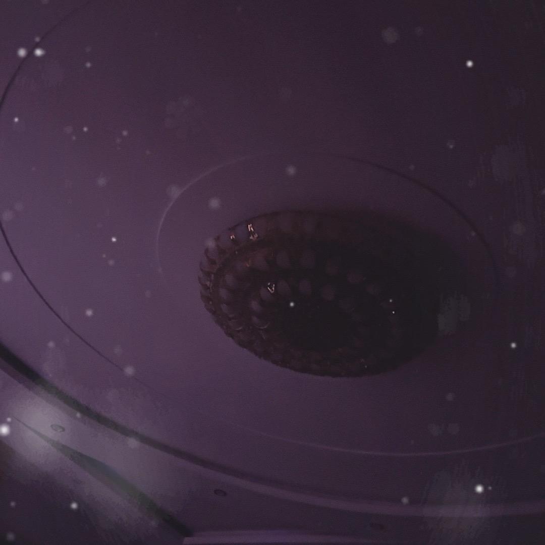 戏曲阳阳