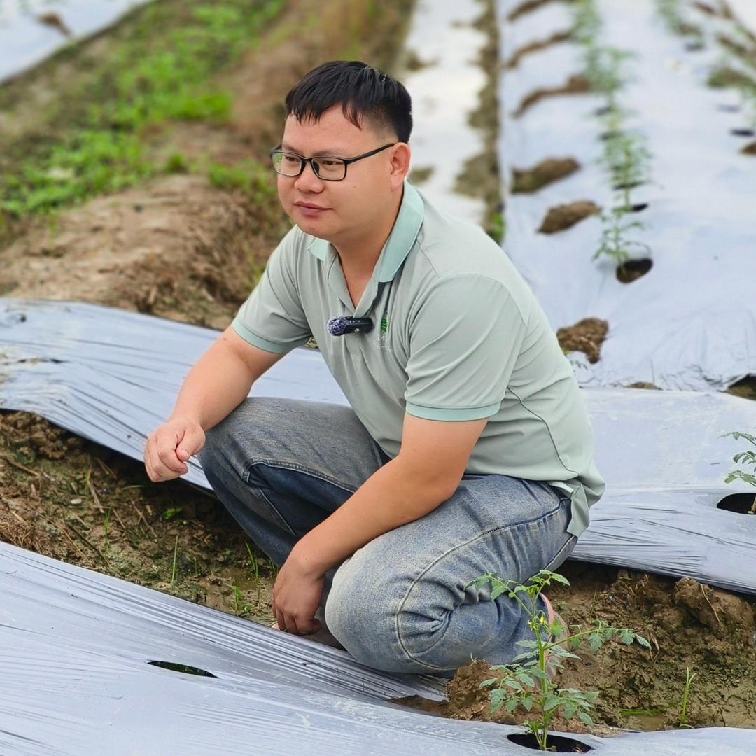 田阳走农资的锅杨