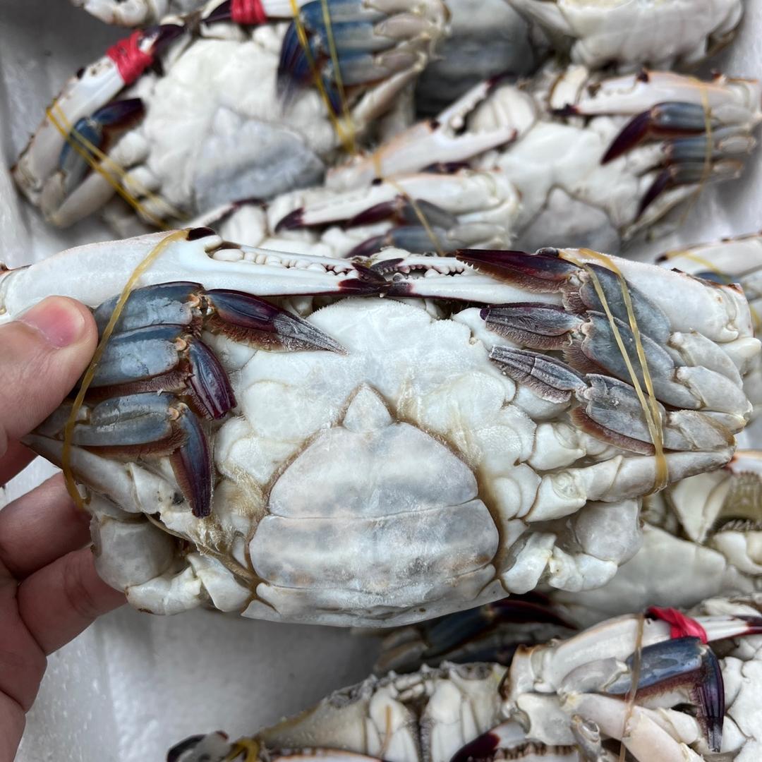 舟山博源海鲜企业店