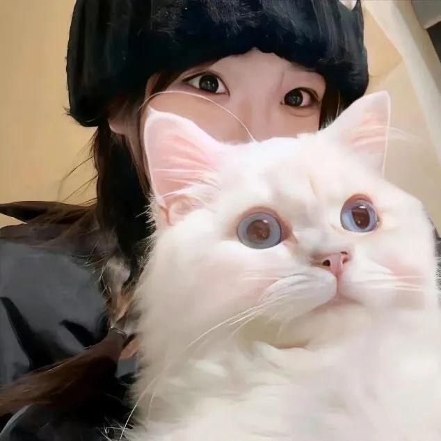 糊涂蛋.