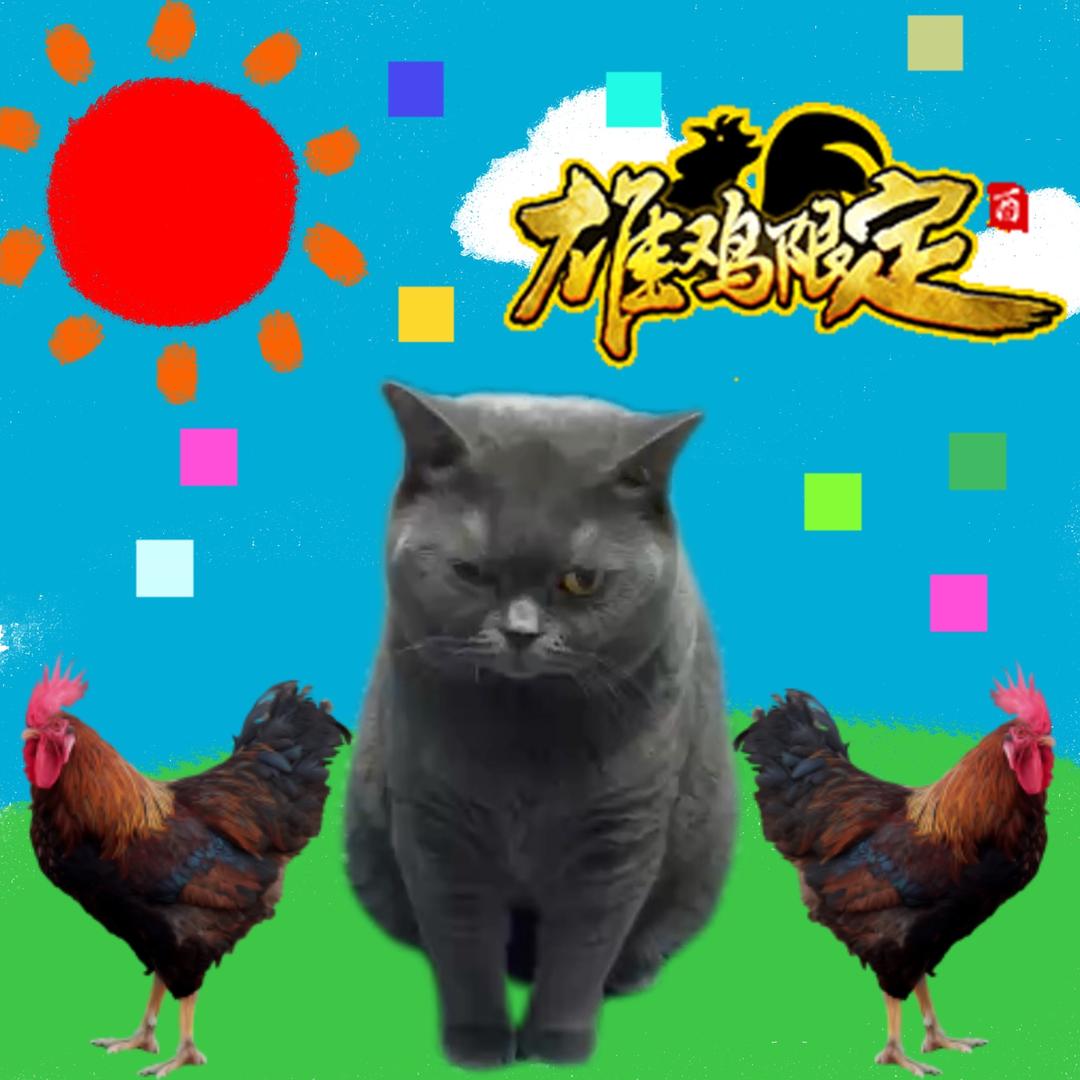 亲爱的