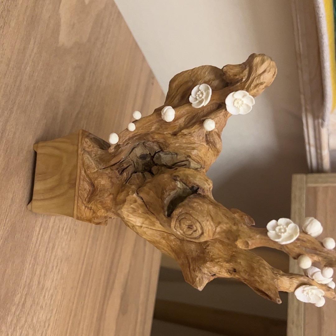 我在人间卖木头的样子帅吗