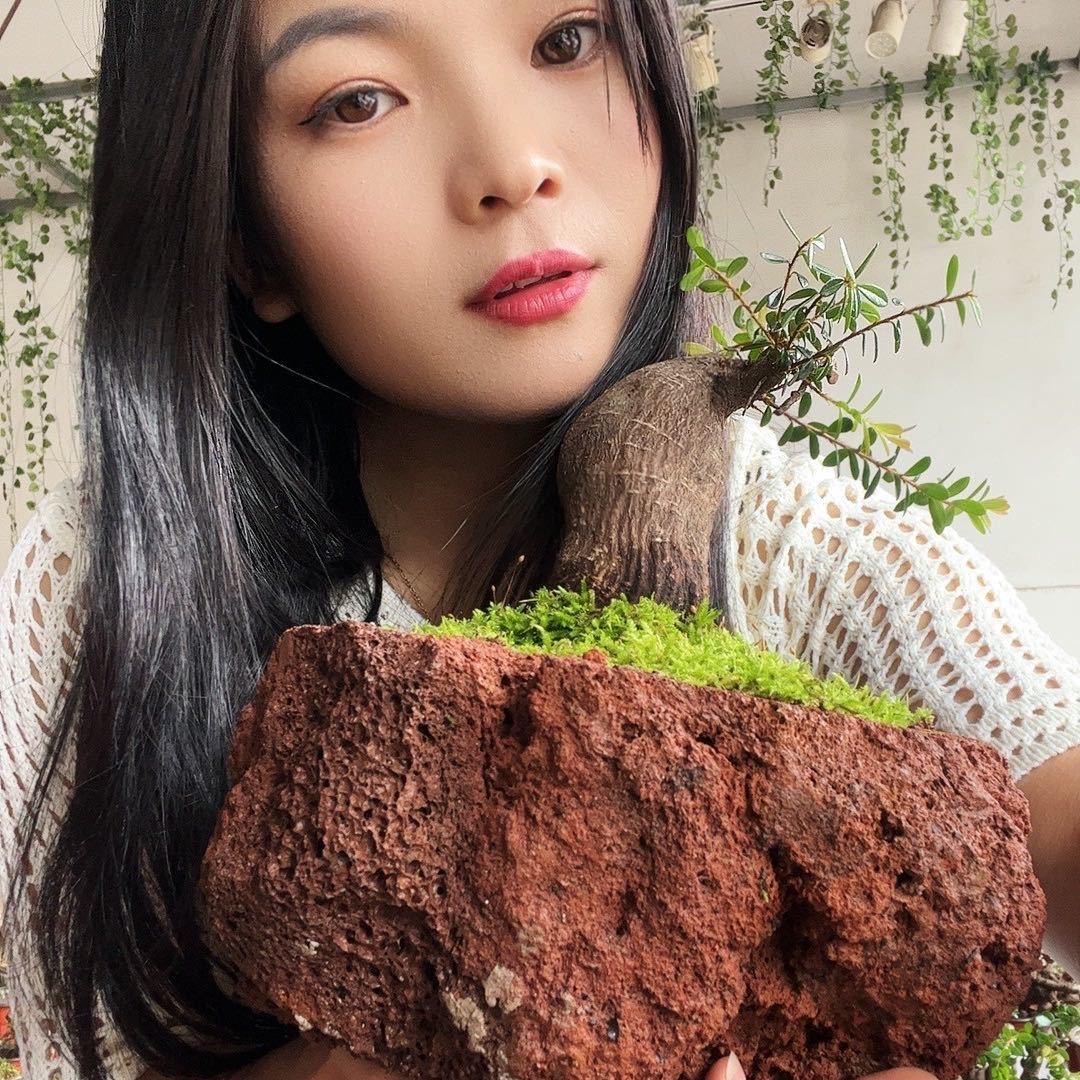 火山石花盆小美