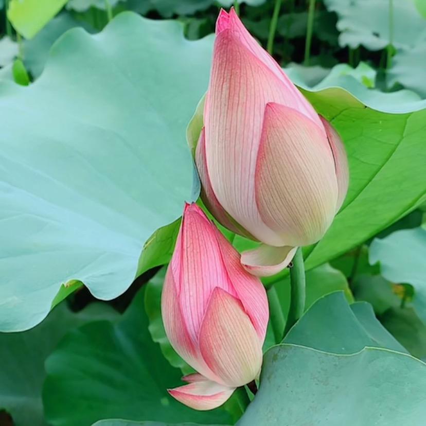 🌈最近🌈最近🌈最近🌈