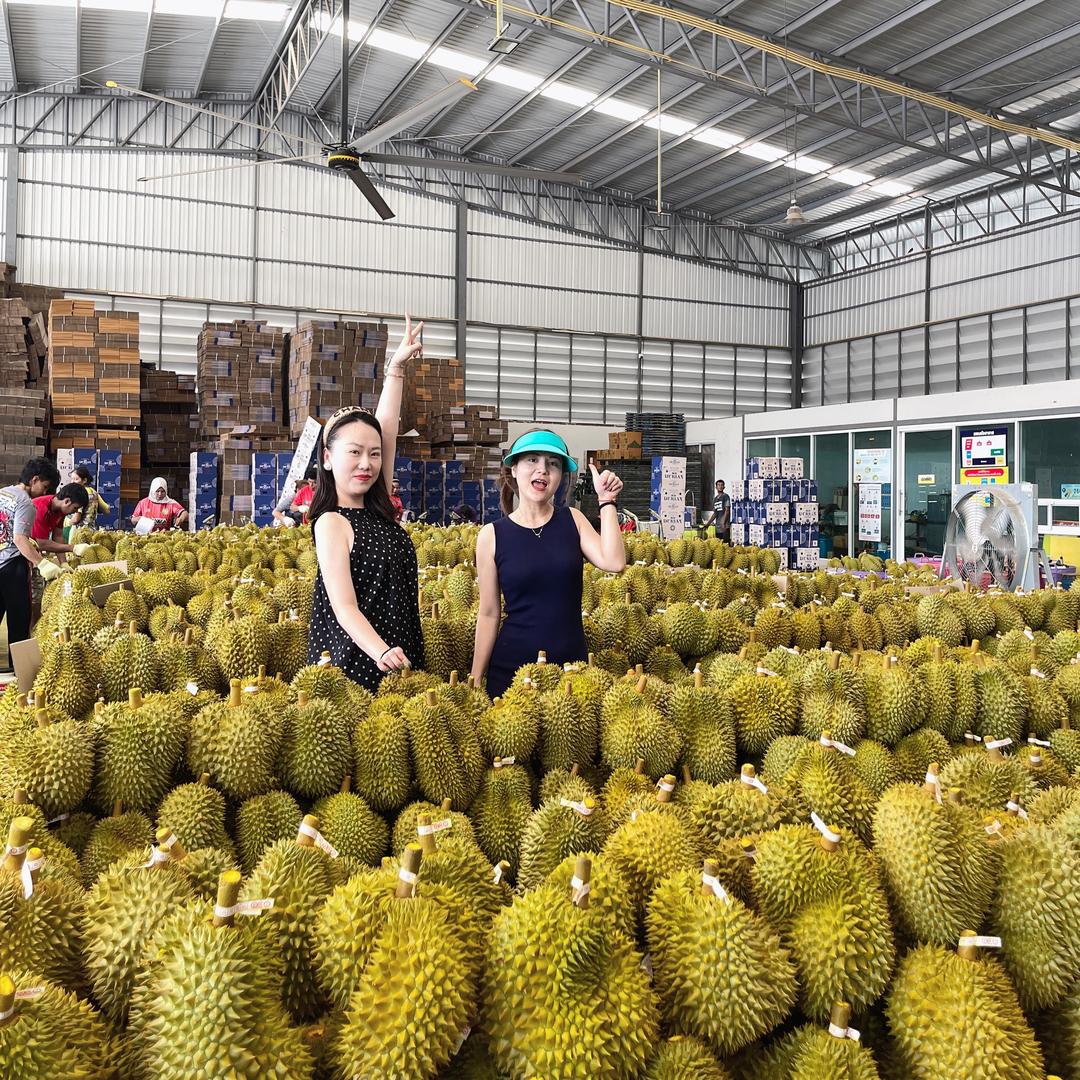 樱都汀精品榴莲小时达(金源店)藏宝姐姐号
