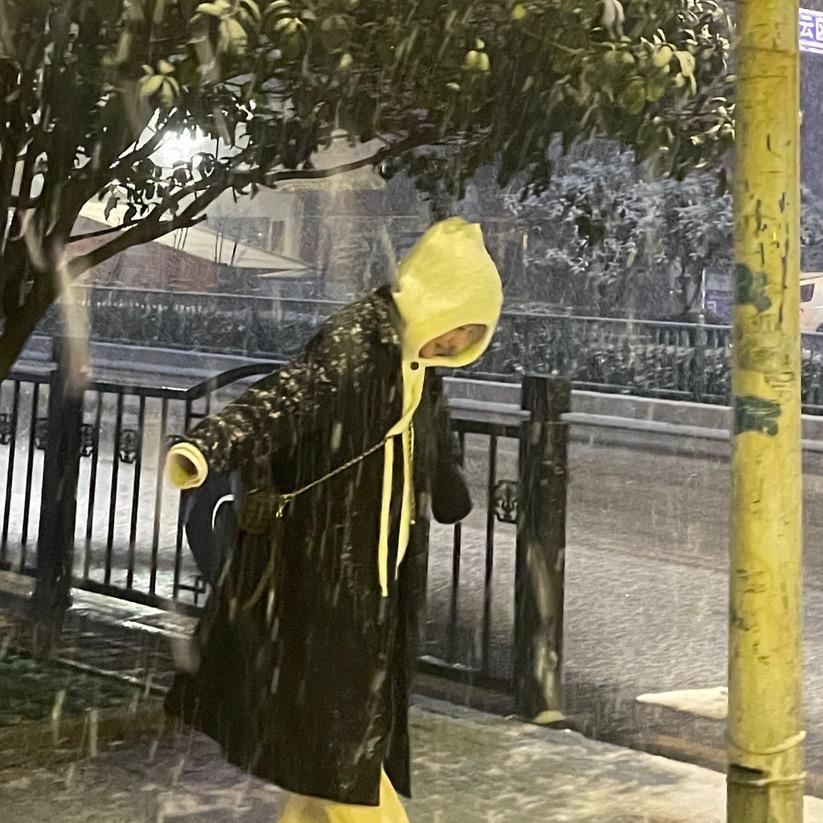 红豆