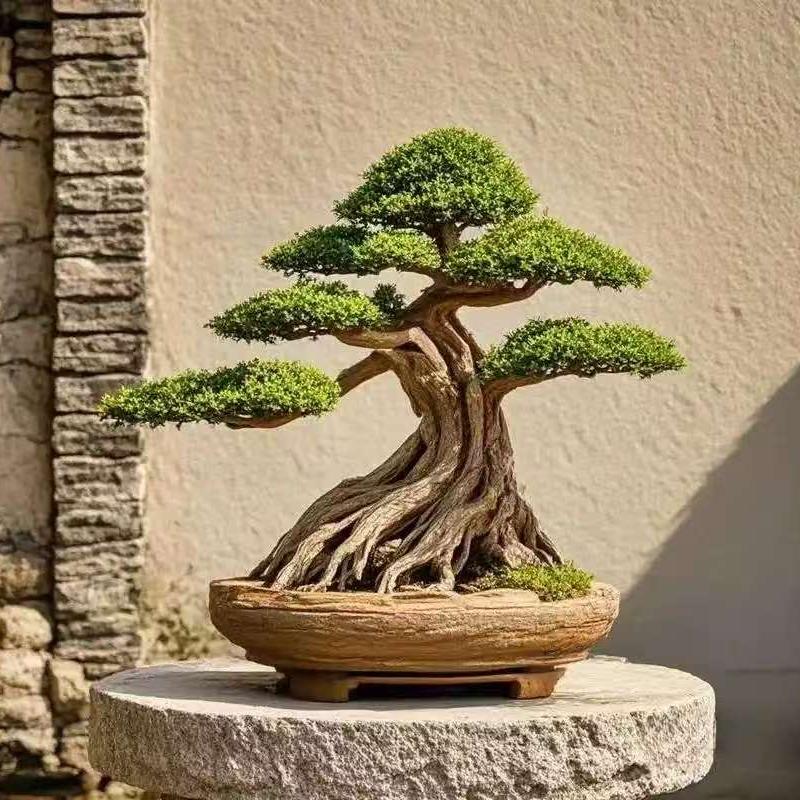 倾晨盆景园