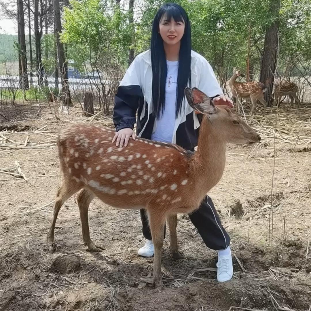 媛媛鹿宝
