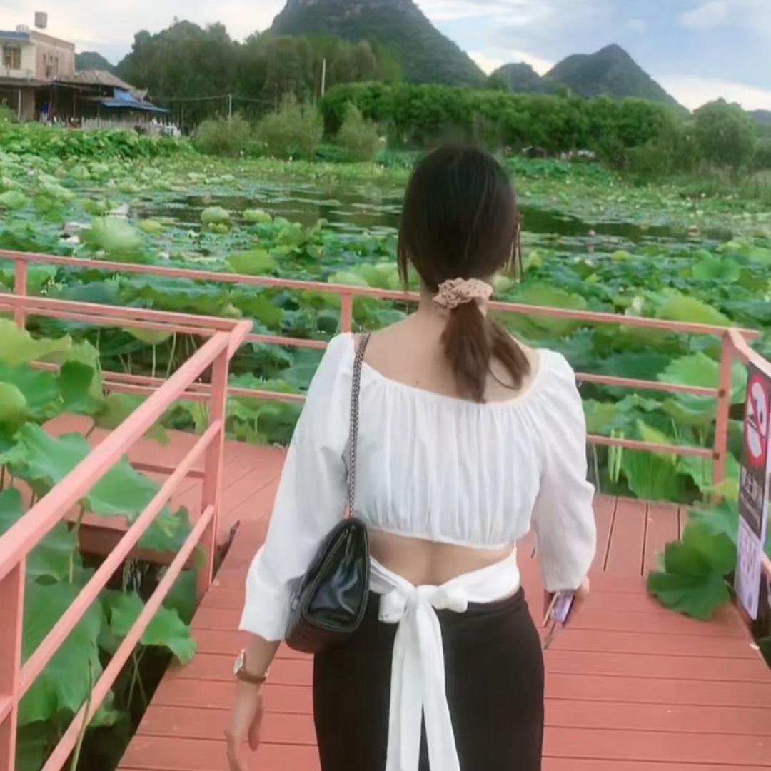 云南黑美人