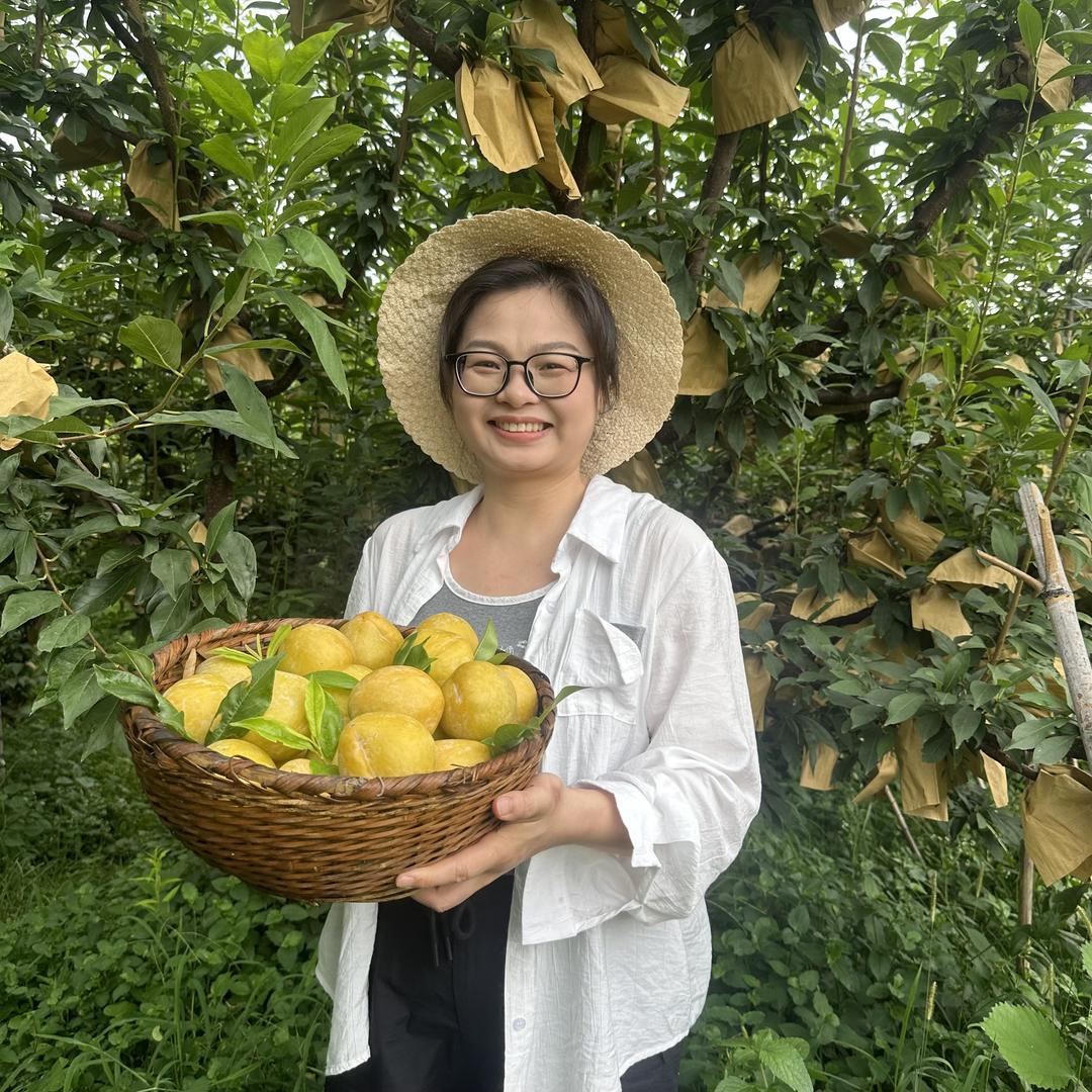 葡园农业园坊（老村长）