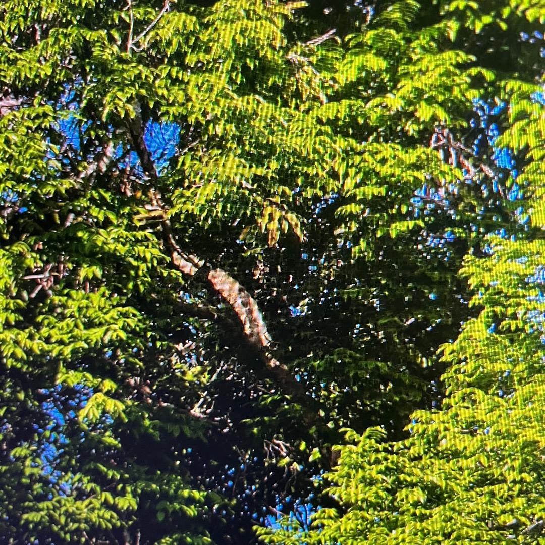 娃娃菜女装穿搭