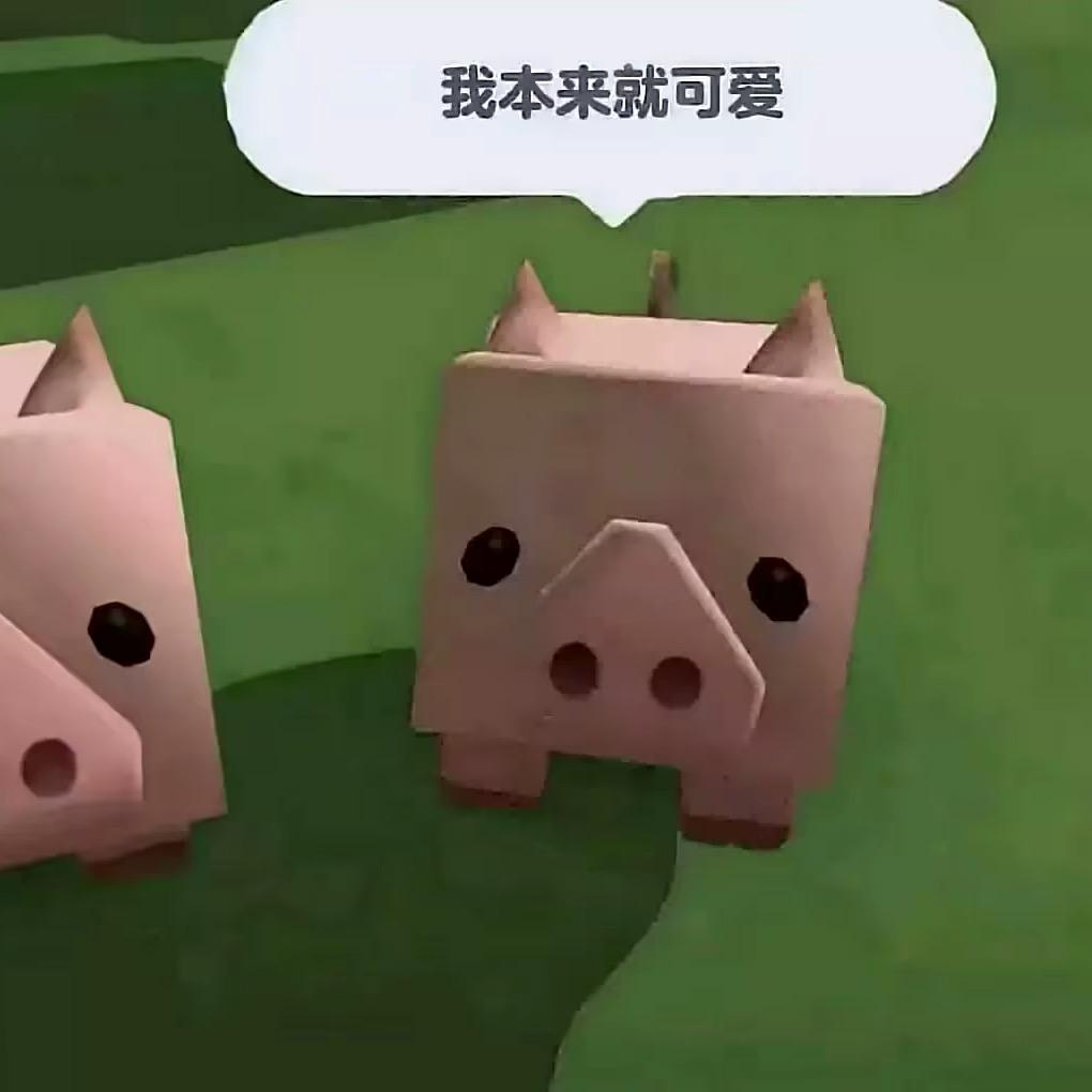 蛋