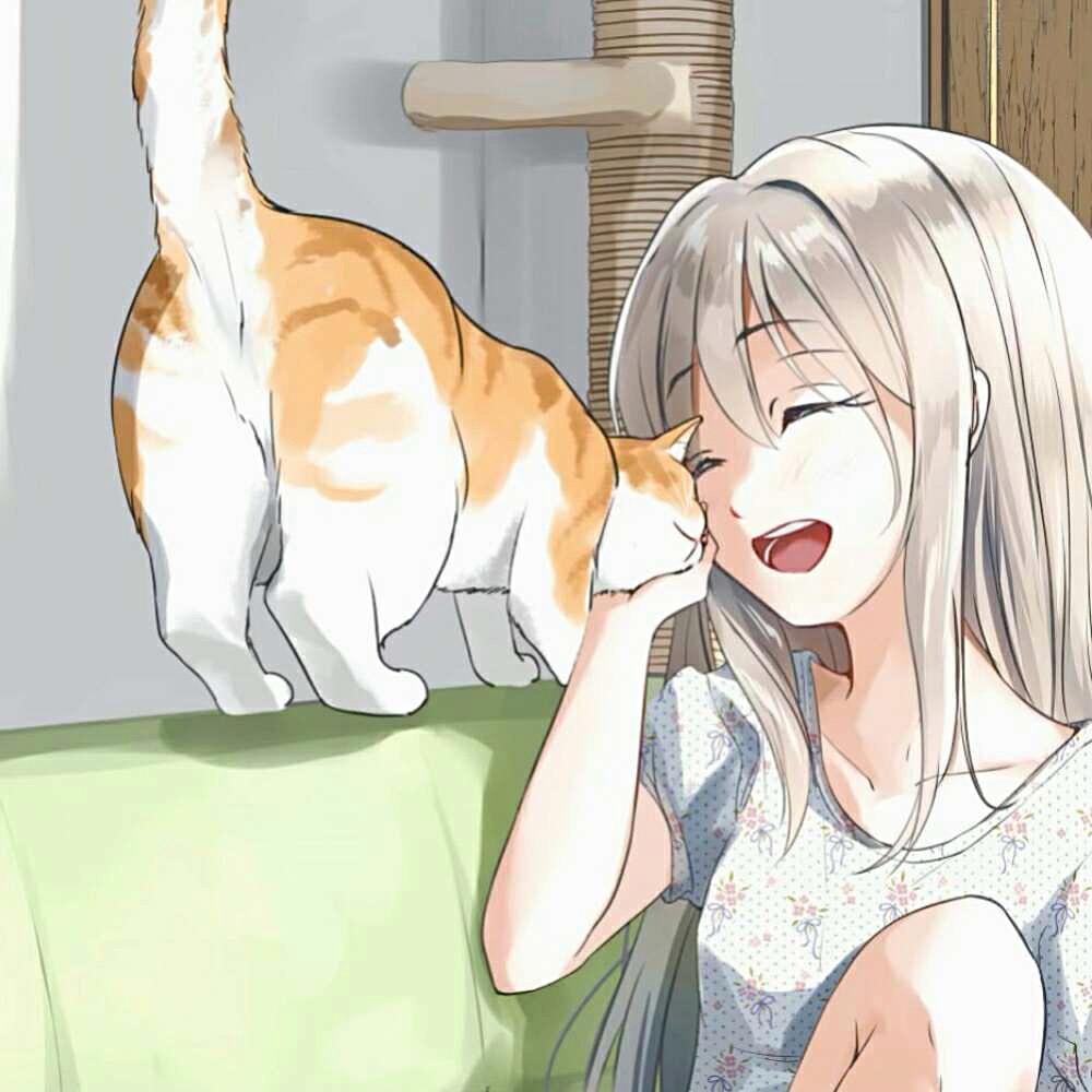 洗香香