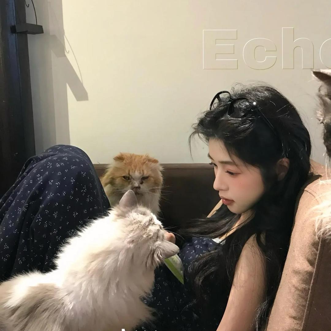 棠宁.