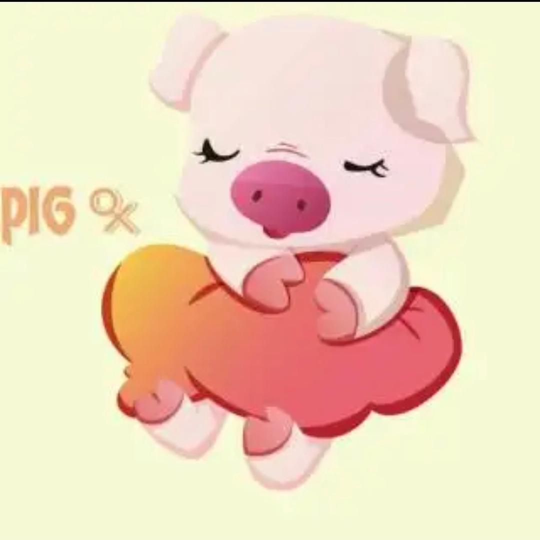 猪猪pink