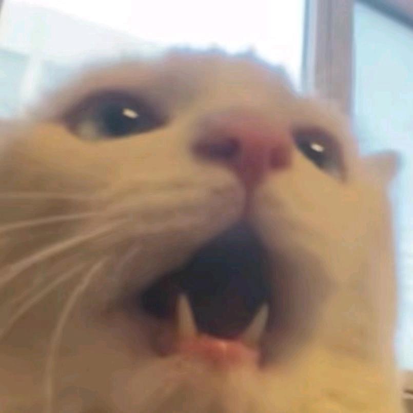 风月