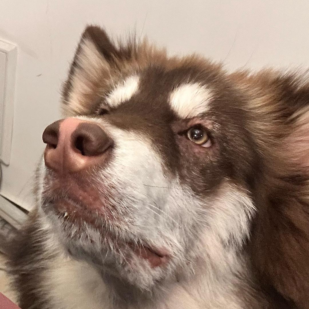 自求多福的 多福