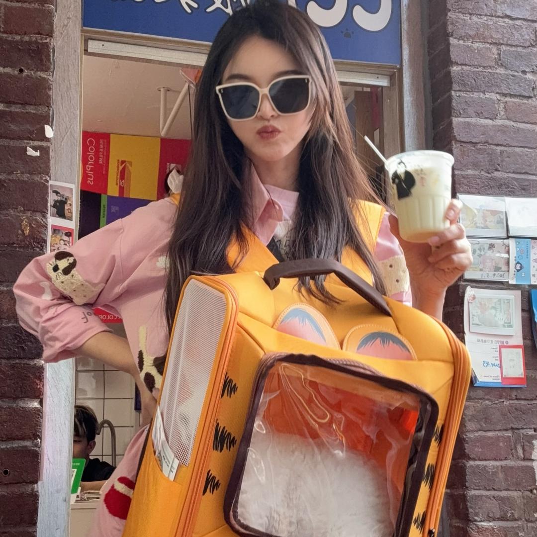 大鹭的朋友圈