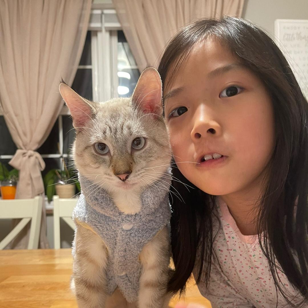 亚力艾莉