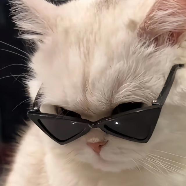 小喵喵