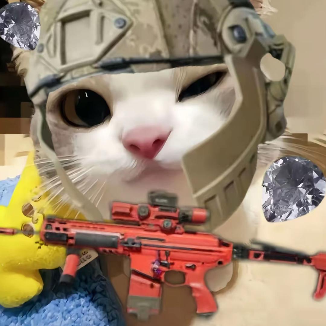 晚风（三角洲速摸流）