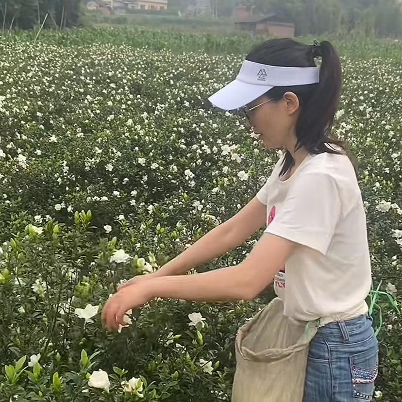 🌸May(清溪张小妹)