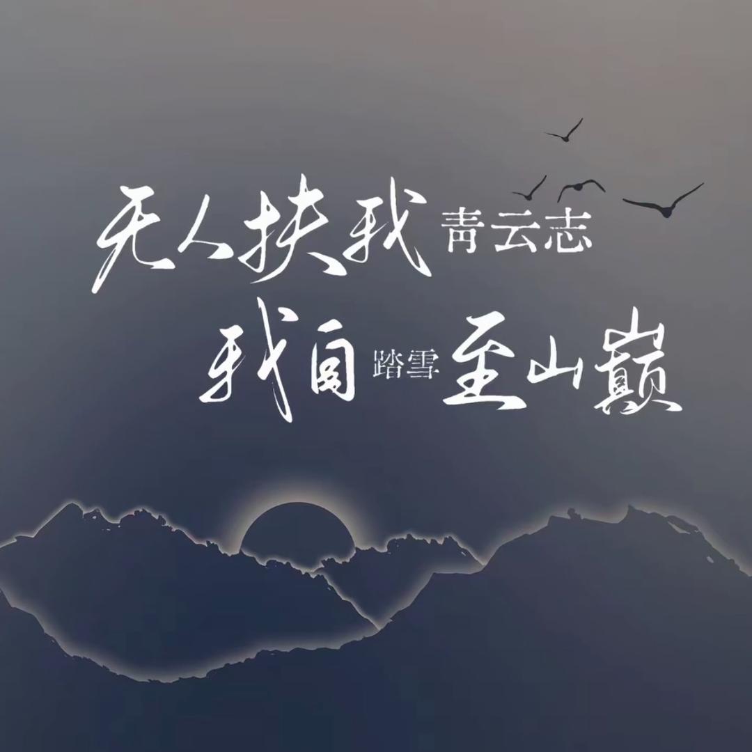 宁瑶观赏鱼(十年养鱼师傅)