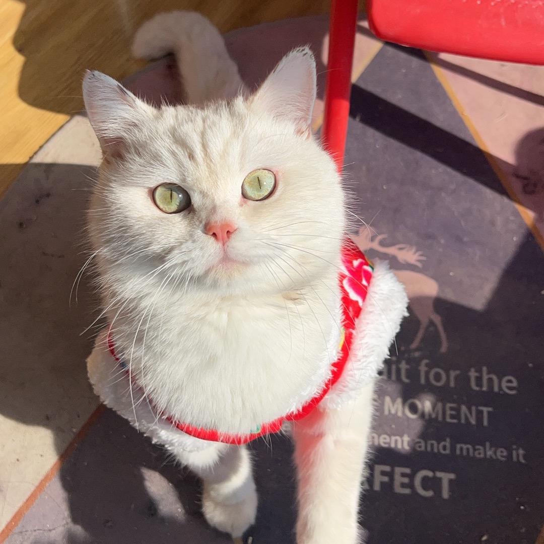 时光无声@🧸ྀི