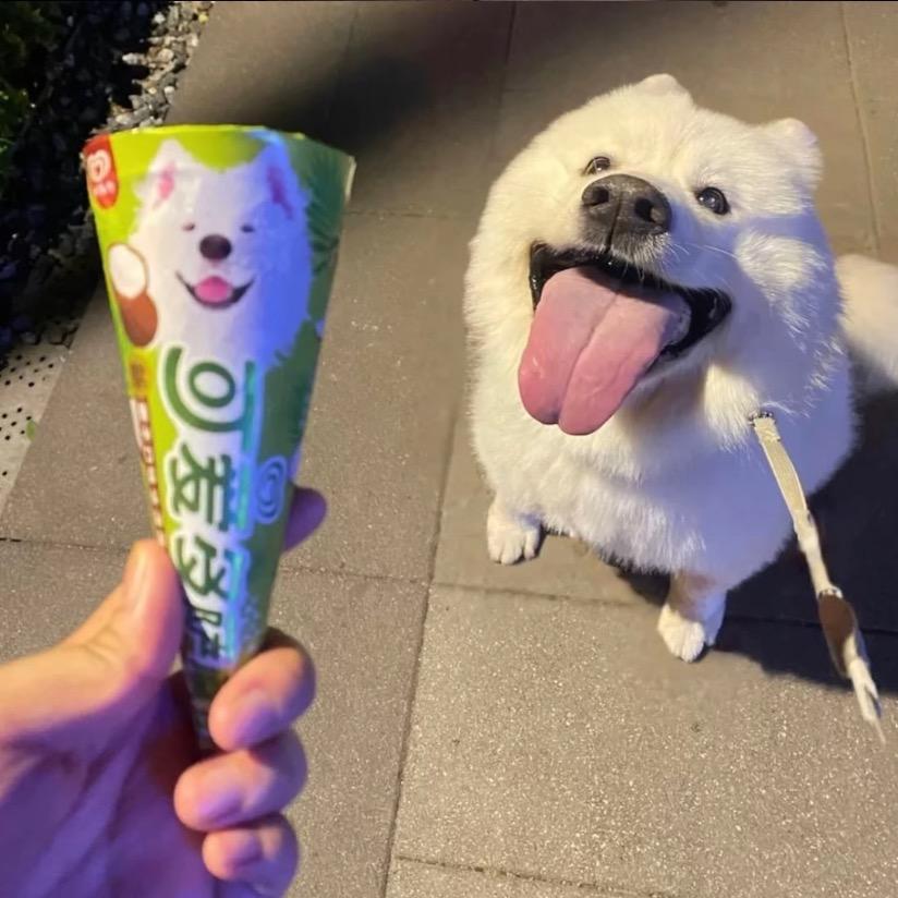 吃可爱多吗