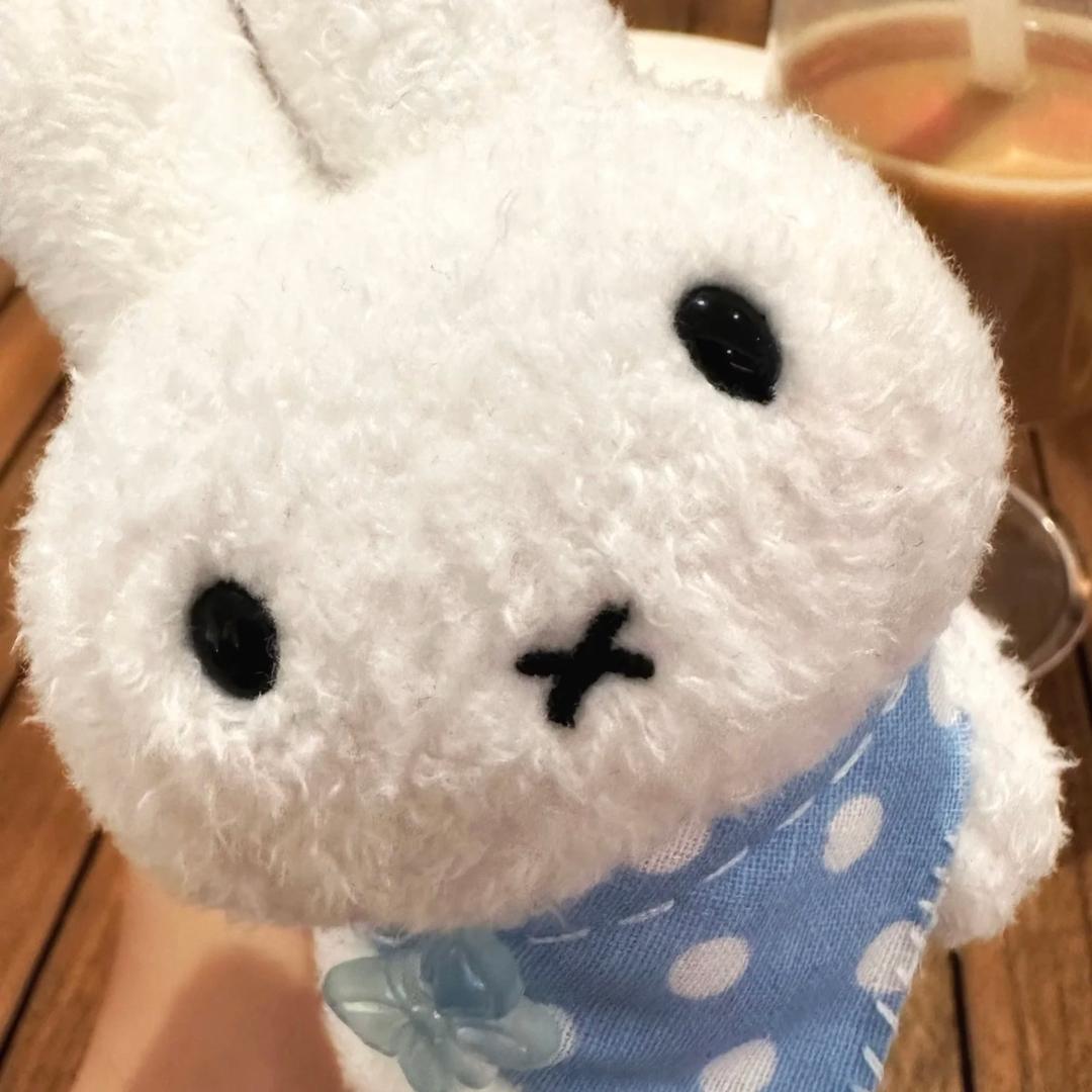 椰丝米兔
