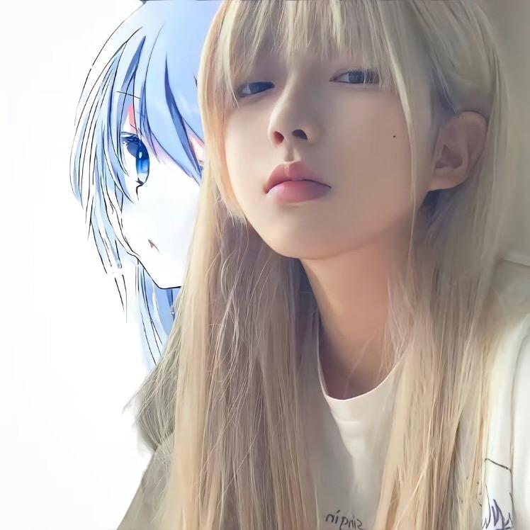 鲫鱼圆