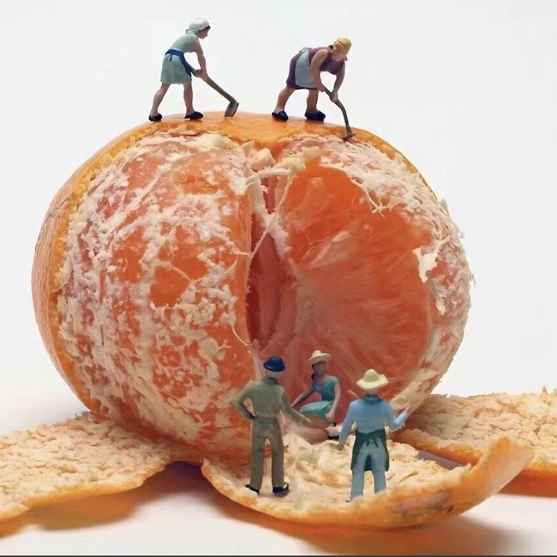 三门奥润桔