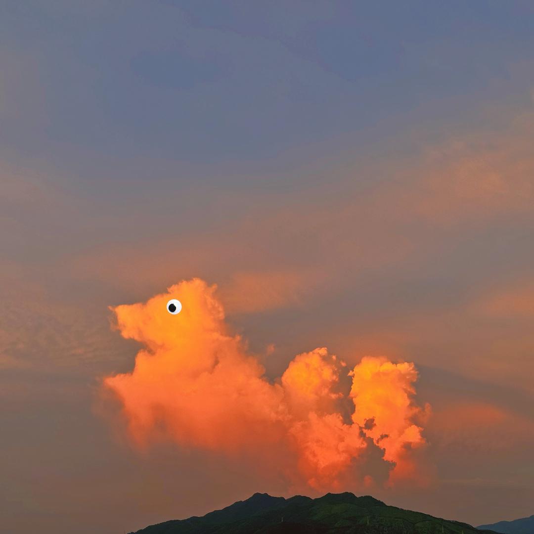 啊寳呀