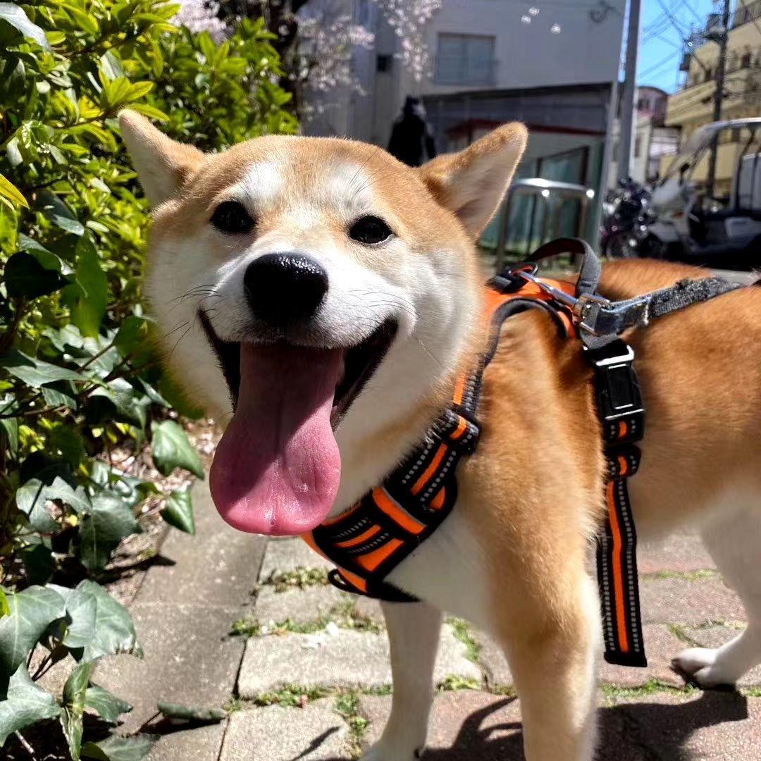 ☘大婷