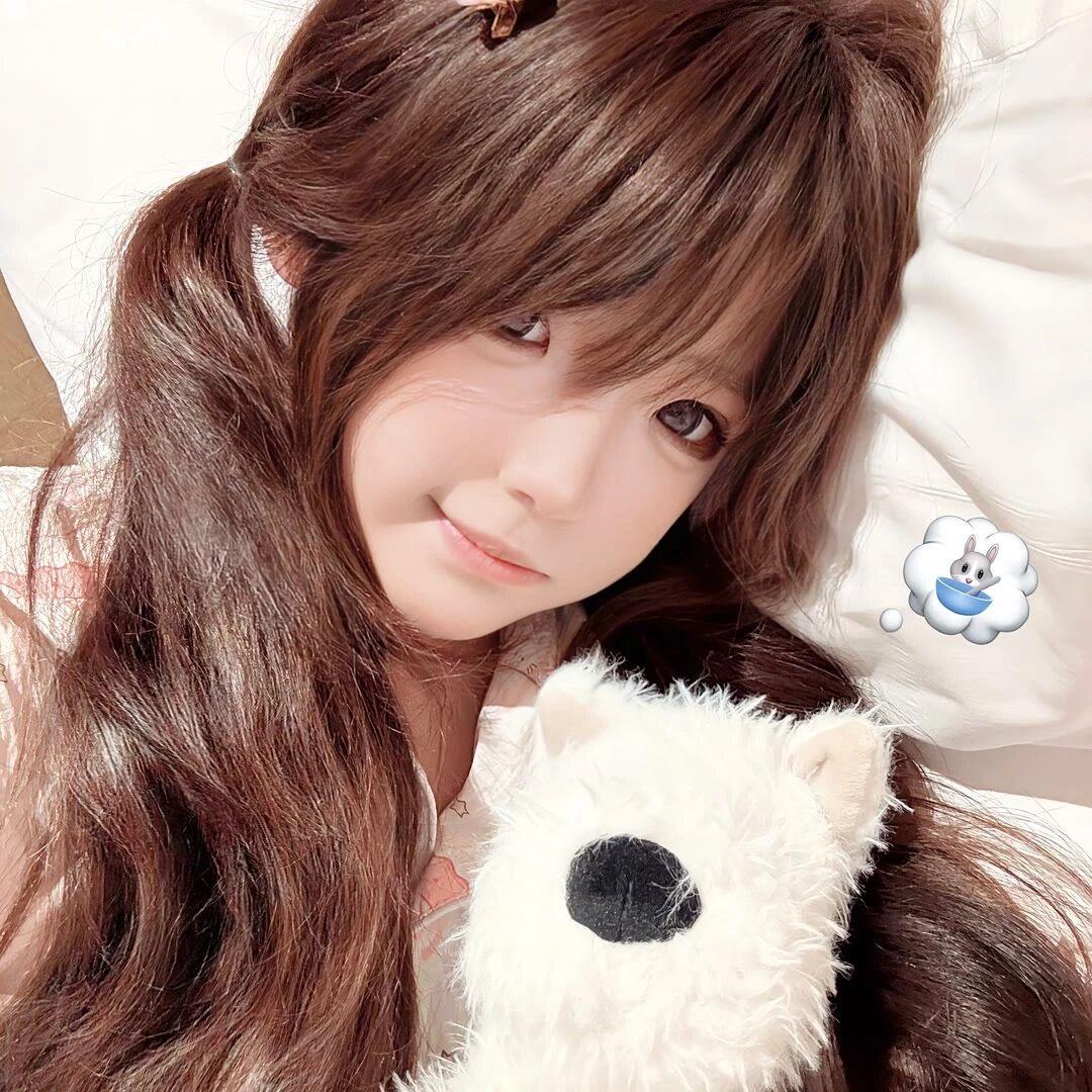 猫圆