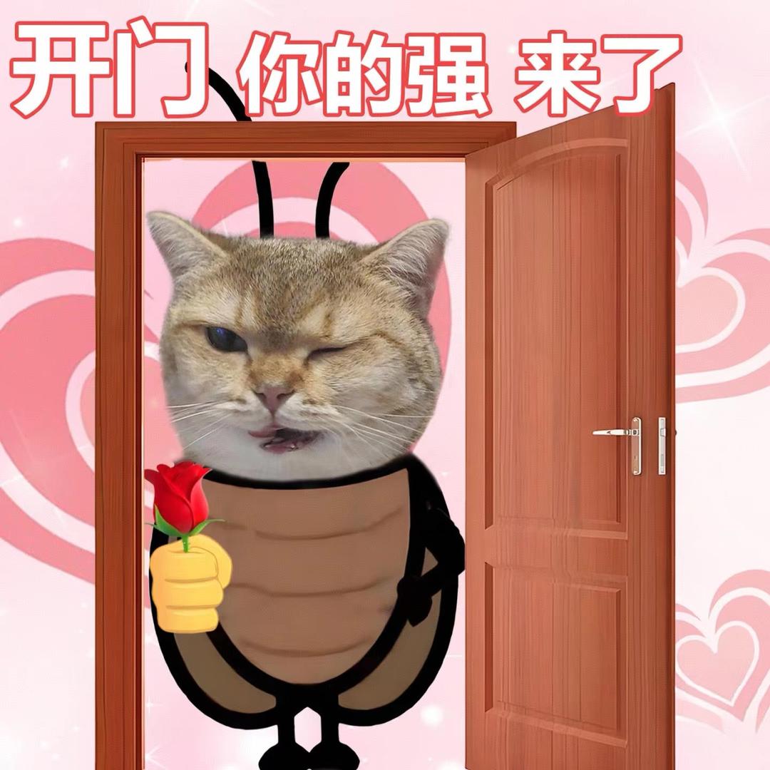 精神姐姐卖包包