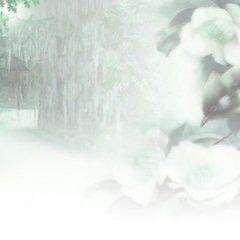 清风拂袖